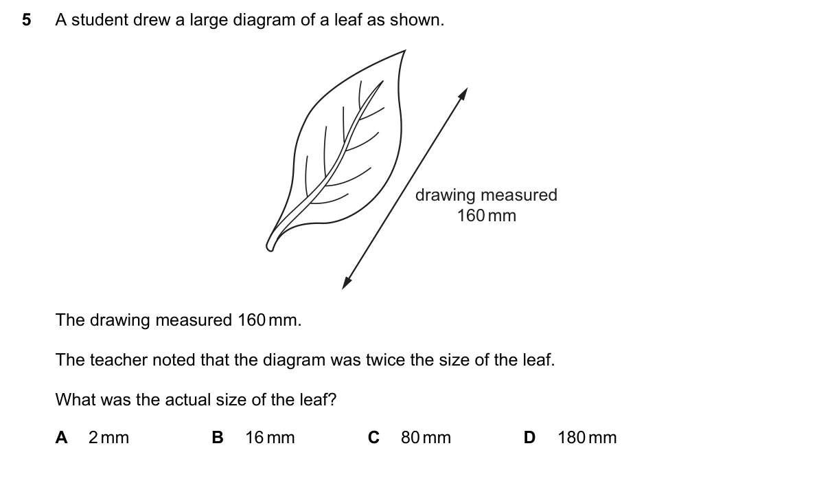 Question 5, November 2016, 0610 Paper 13