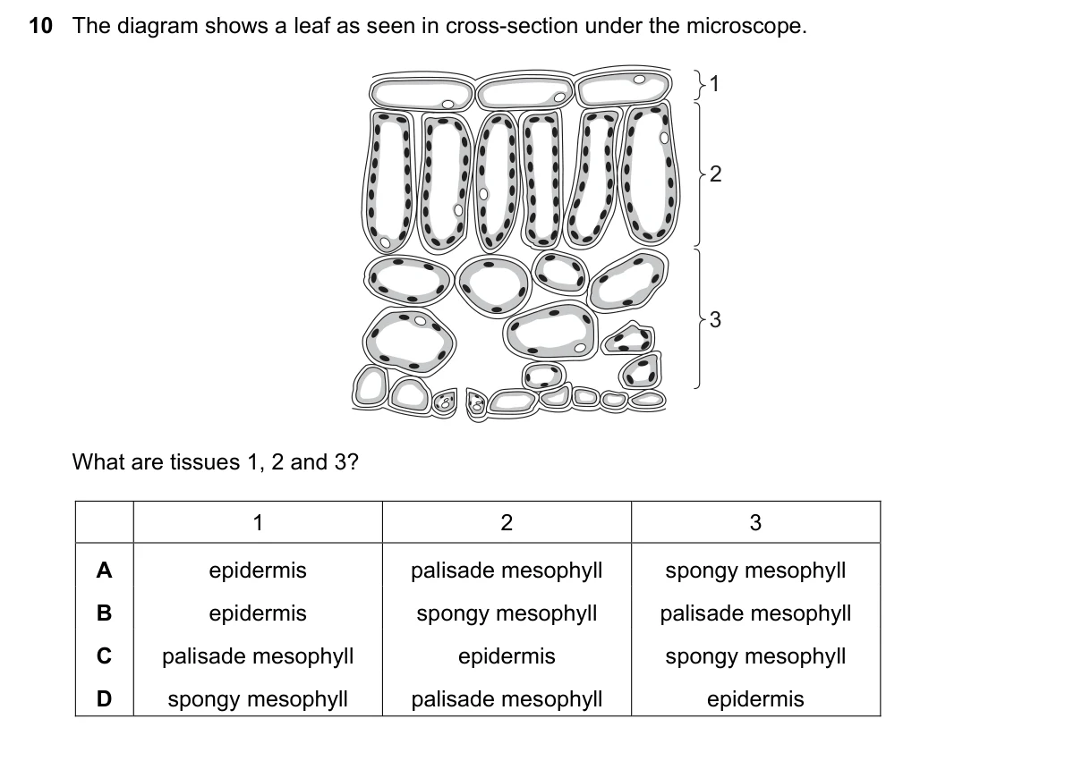 Question 10, November 2016, 0610 Paper 23