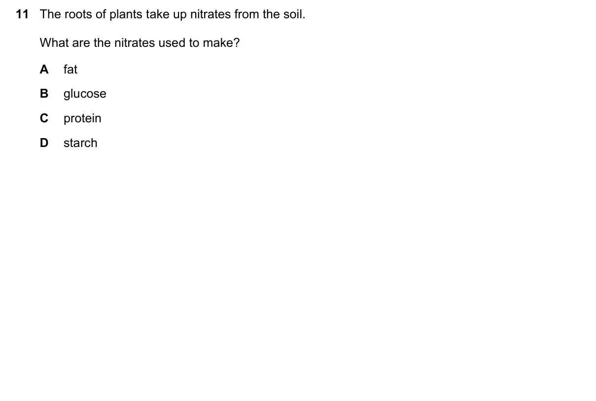 Question 11, November 2016, 0610 Paper 23