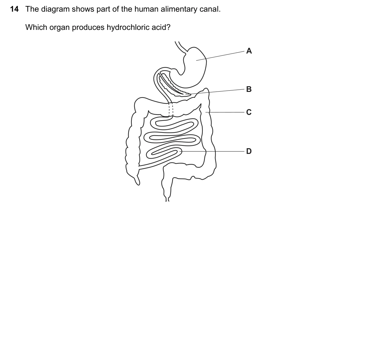 Question 14, November 2016, 0610 Paper 23