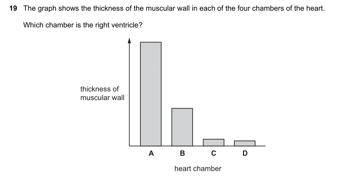 Question 19, November 2016, 0610 Paper 23