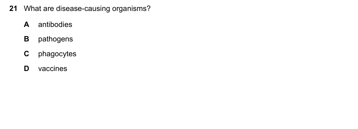 Question 21, November 2016, 0610 Paper 23