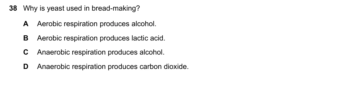 Question 38, November 2016, 0610 Paper 23