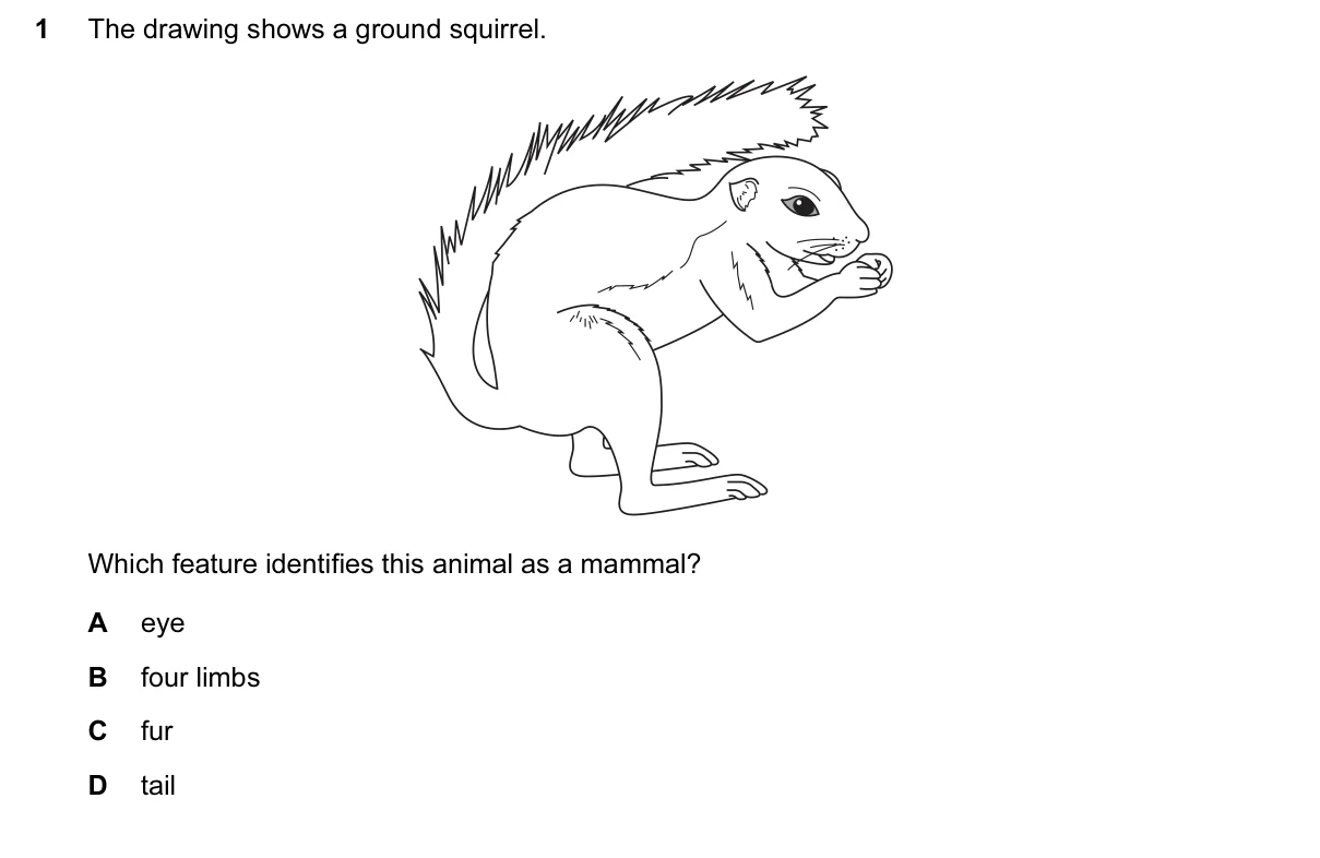 Question 1, March 2017, 0610 Paper 12