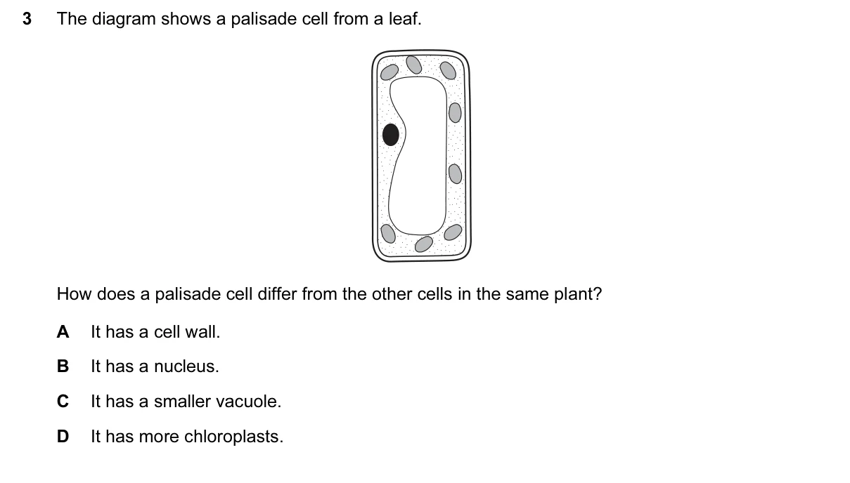 Question 3, March 2017, 0610 Paper 12