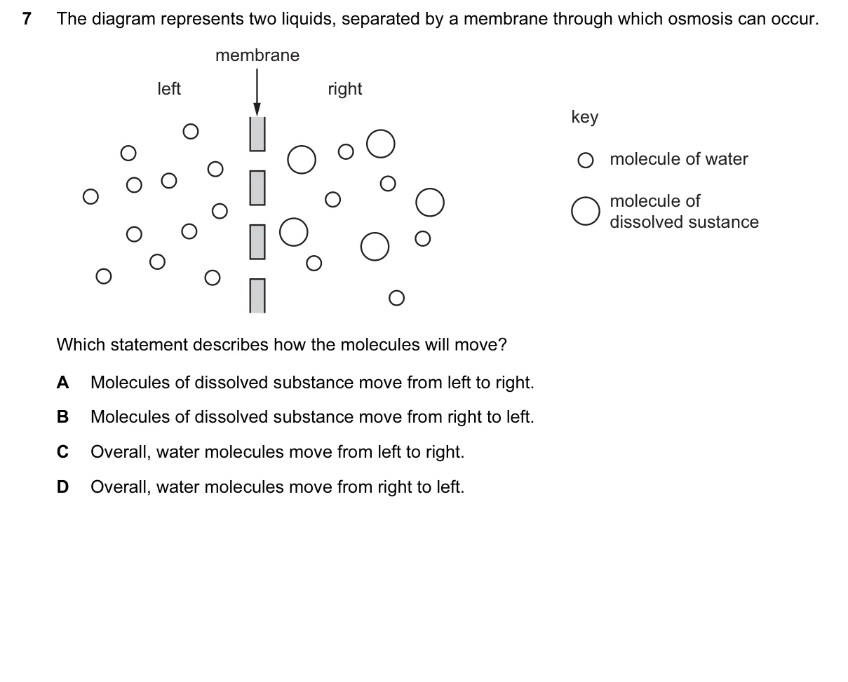 Question 7, March 2017, 0610 Paper 12