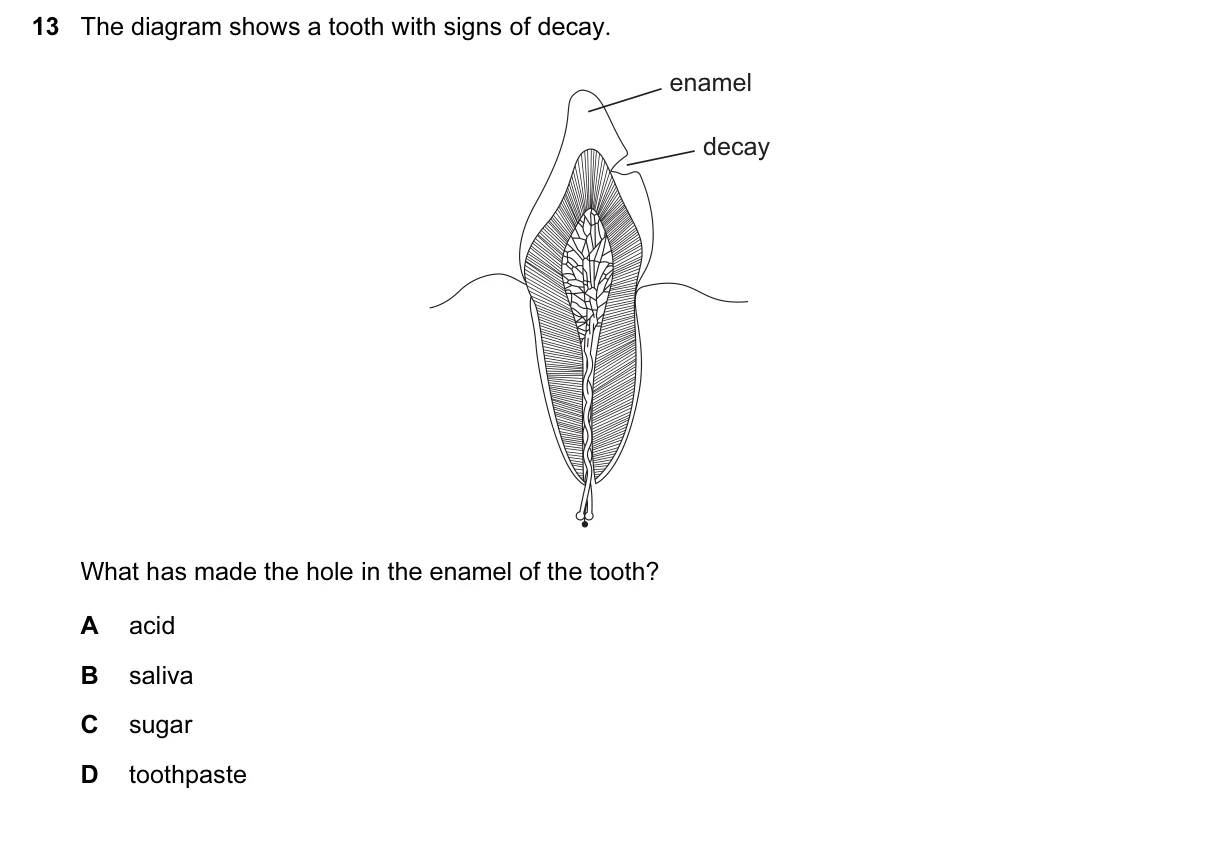 Question 13, March 2017, 0610 Paper 22