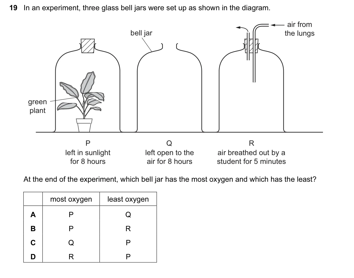 Question 19, March 2017, 0610 Paper 22
