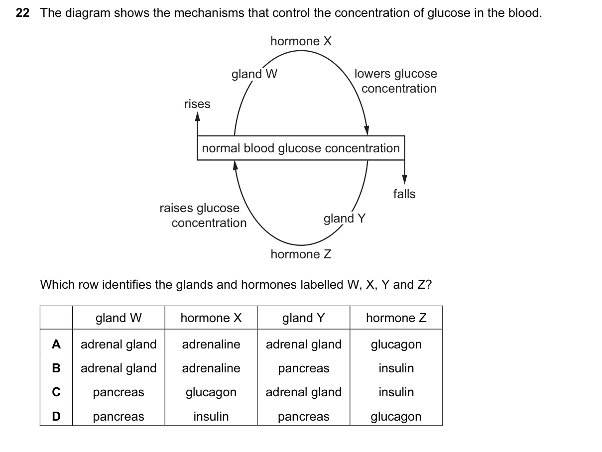 Question 22, March 2017, 0610 Paper 22