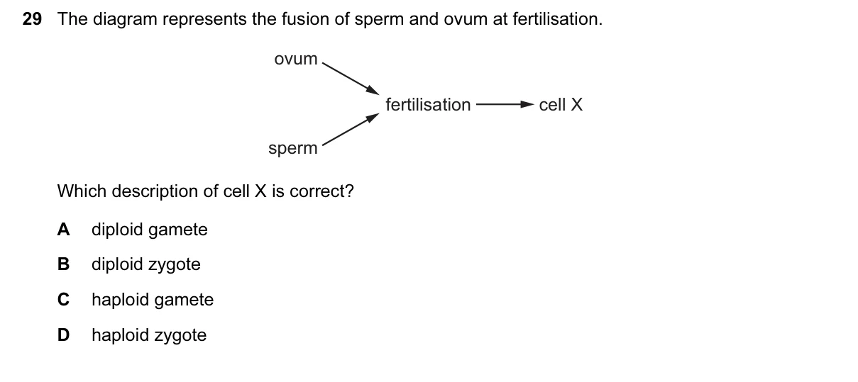 Question 29, March 2017, 0610 Paper 22