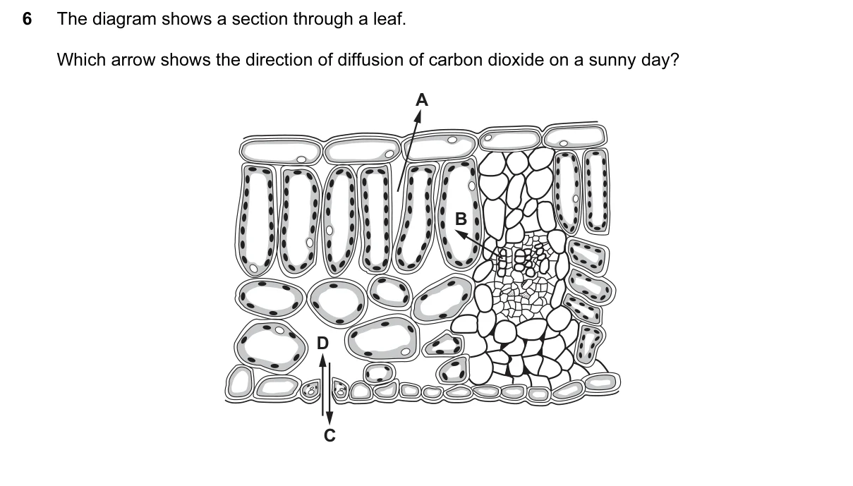 Question 6, March 2017, 0610 Paper 22
