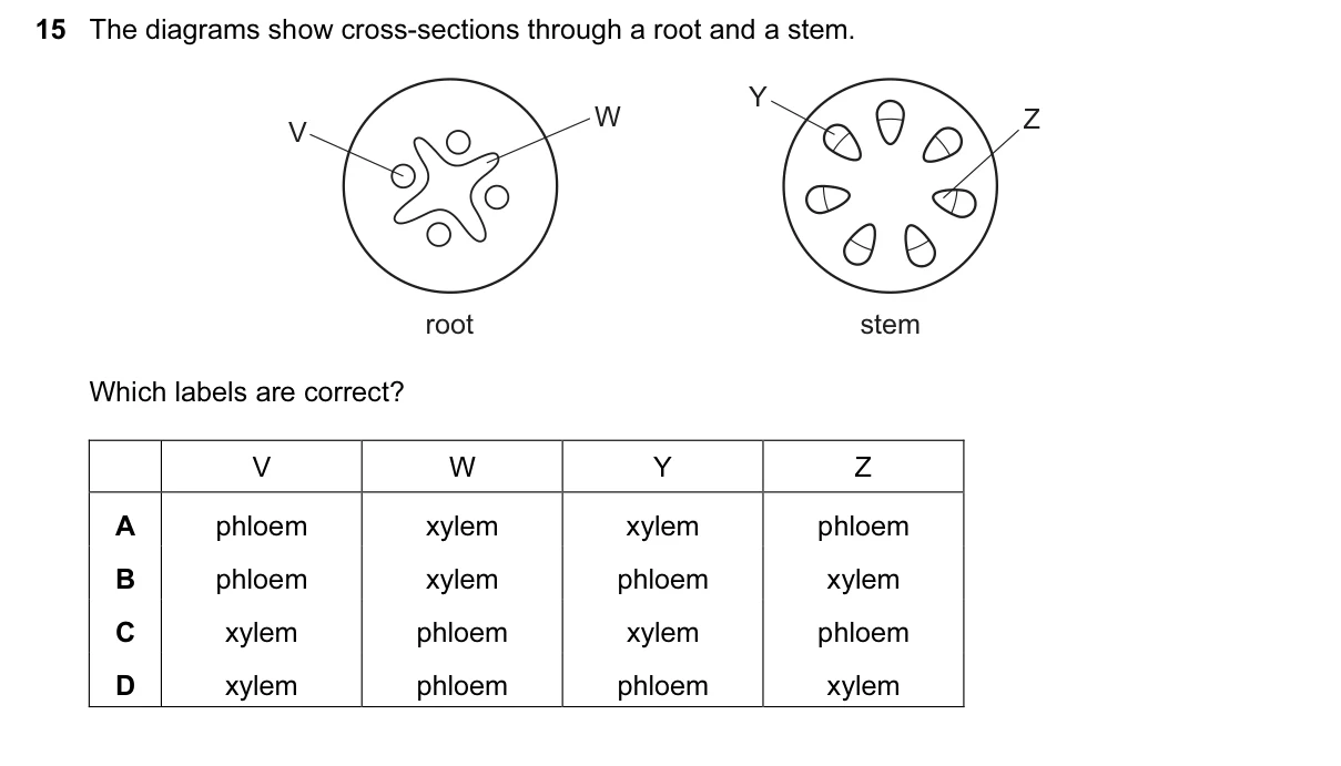 Question 15, June 2017, 0610 Paper 11