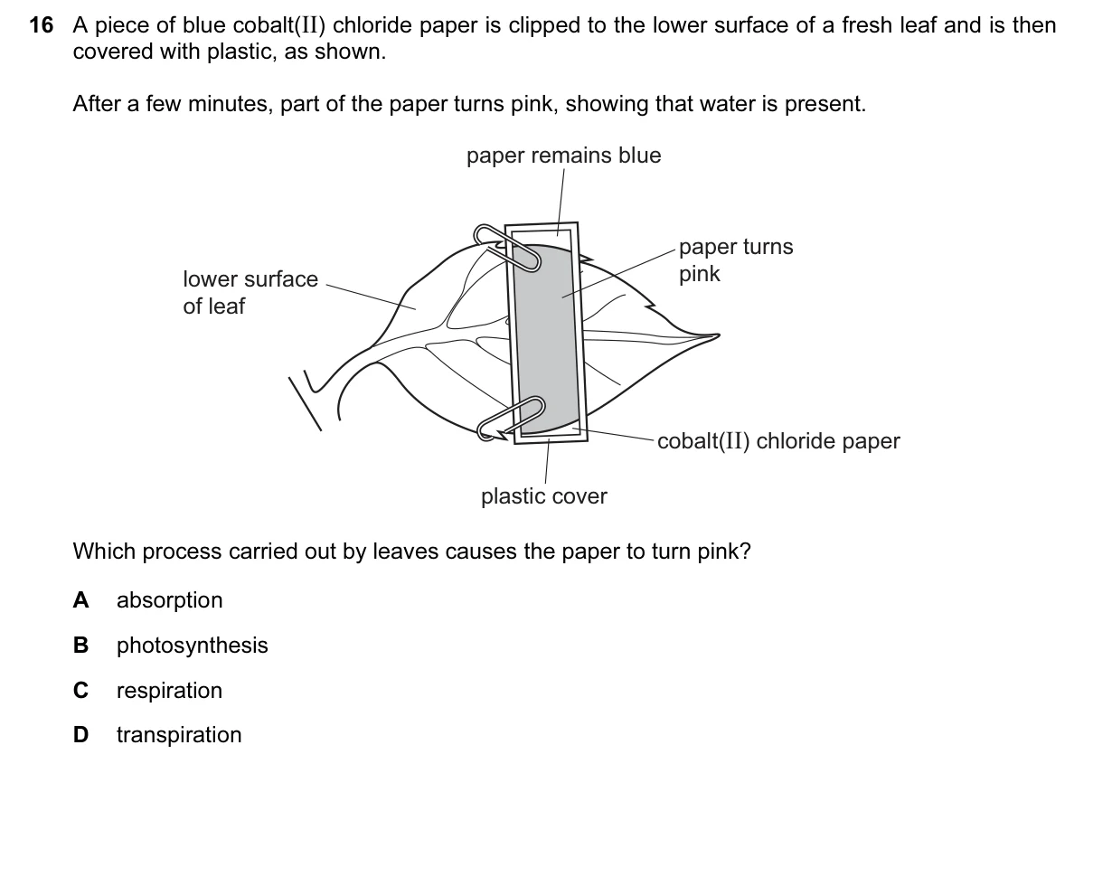 Question 16, June 2017, 0610 Paper 11