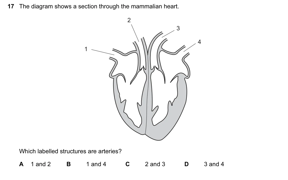 Question 17, June 2017, 0610 Paper 11