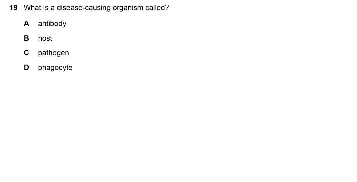 Question 19, June 2017, 0610 Paper 11