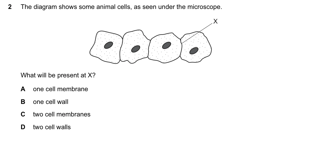 Question 2, June 2017, 0610 Paper 11