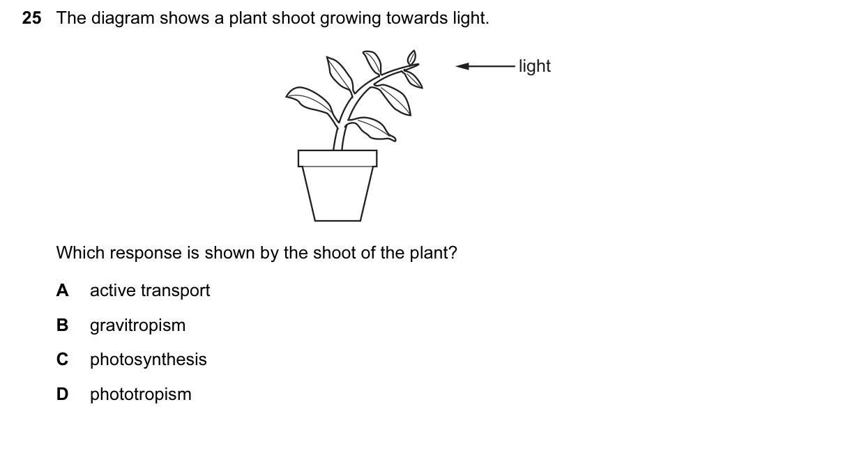 Question 25, June 2017, 0610 Paper 11