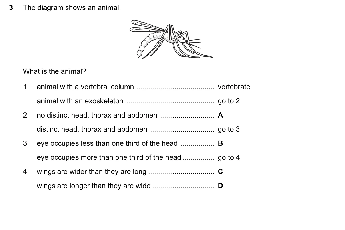 Question 3, June 2017, 0610 Paper 11