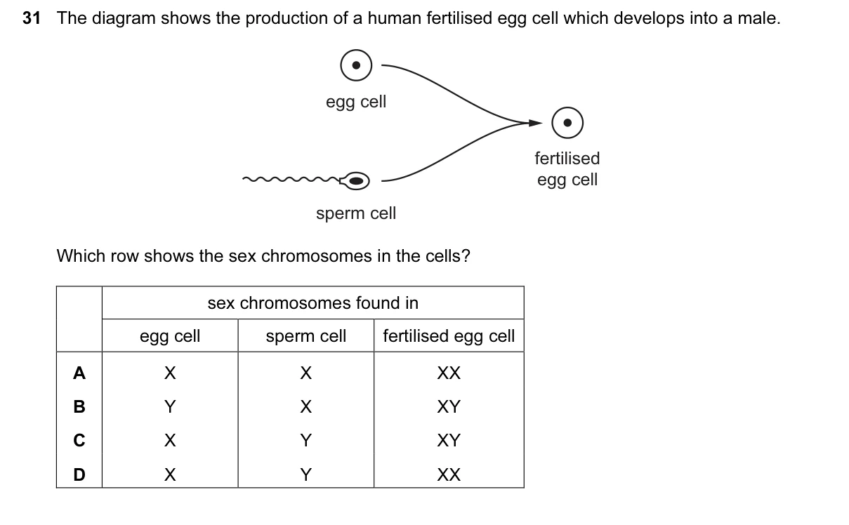 Question 31, June 2017, 0610 Paper 11