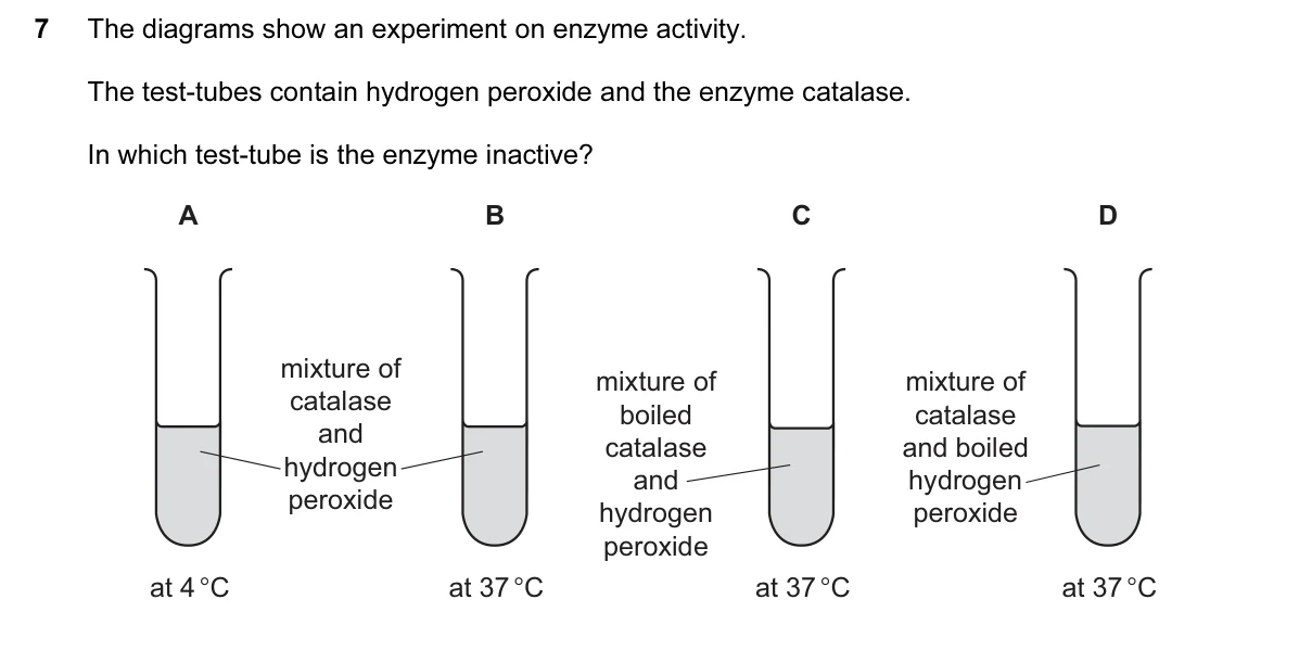 Question 7, June 2017, 0610 Paper 11