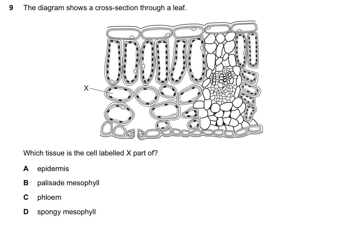 Question 9, June 2017, 0610 Paper 11