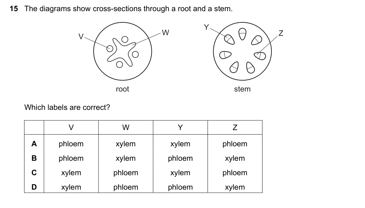 Question 15, June 2017, 0610 Paper 21