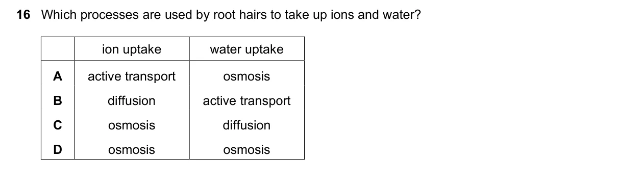 Question 16, June 2017, 0610 Paper 21