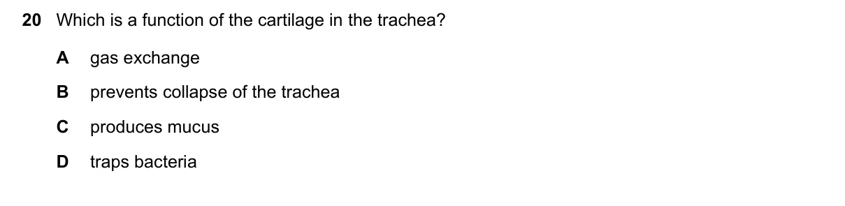 Question 20, June 2017, 0610 Paper 21