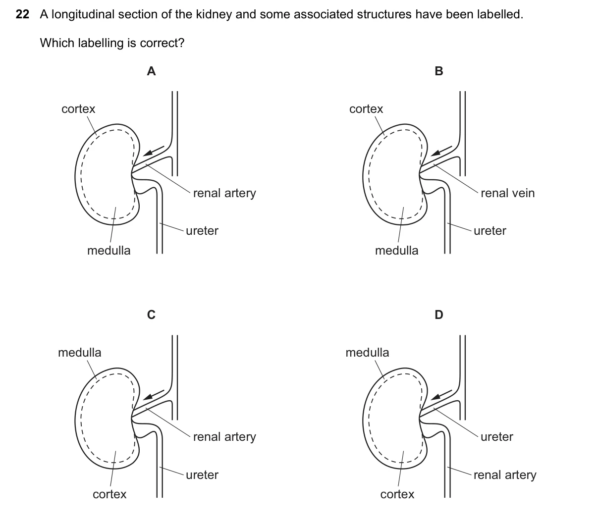 Question 22, June 2017, 0610 Paper 21
