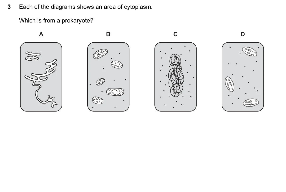 Question 3, June 2017, 0610 Paper 21