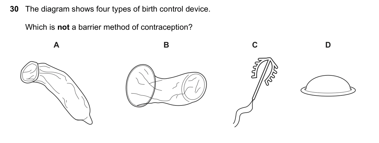 Question 30, June 2017, 0610 Paper 21
