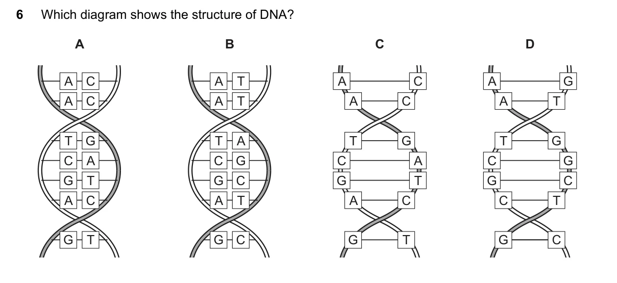 Question 6, June 2017, 0610 Paper 21