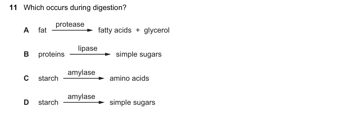 Question 11, June 2017, 0610 Paper 12