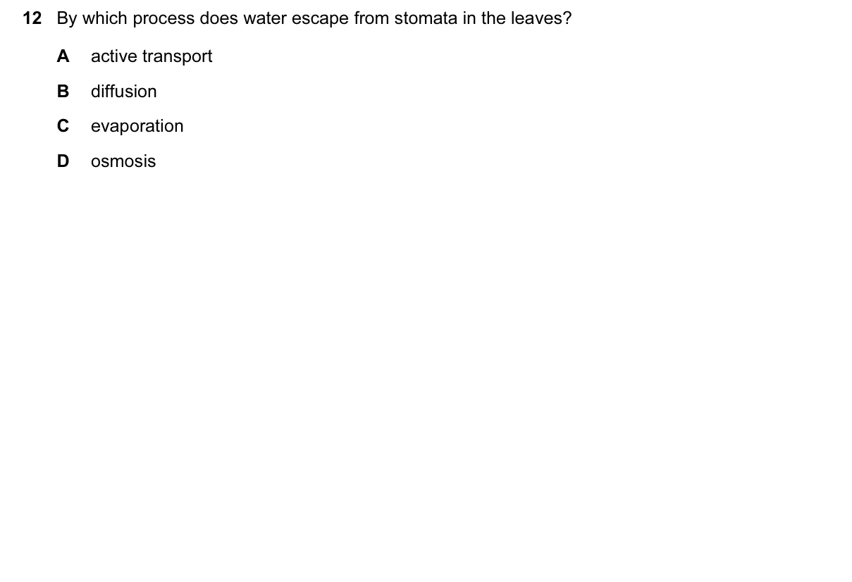 Question 12, June 2017, 0610 Paper 12