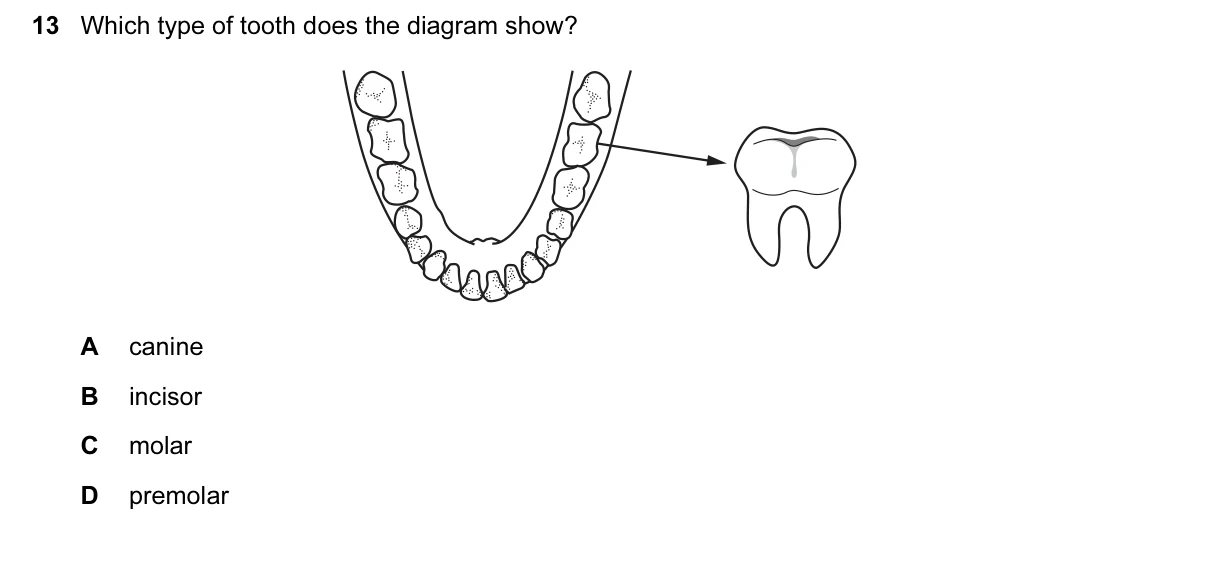 Question 13, June 2017, 0610 Paper 12
