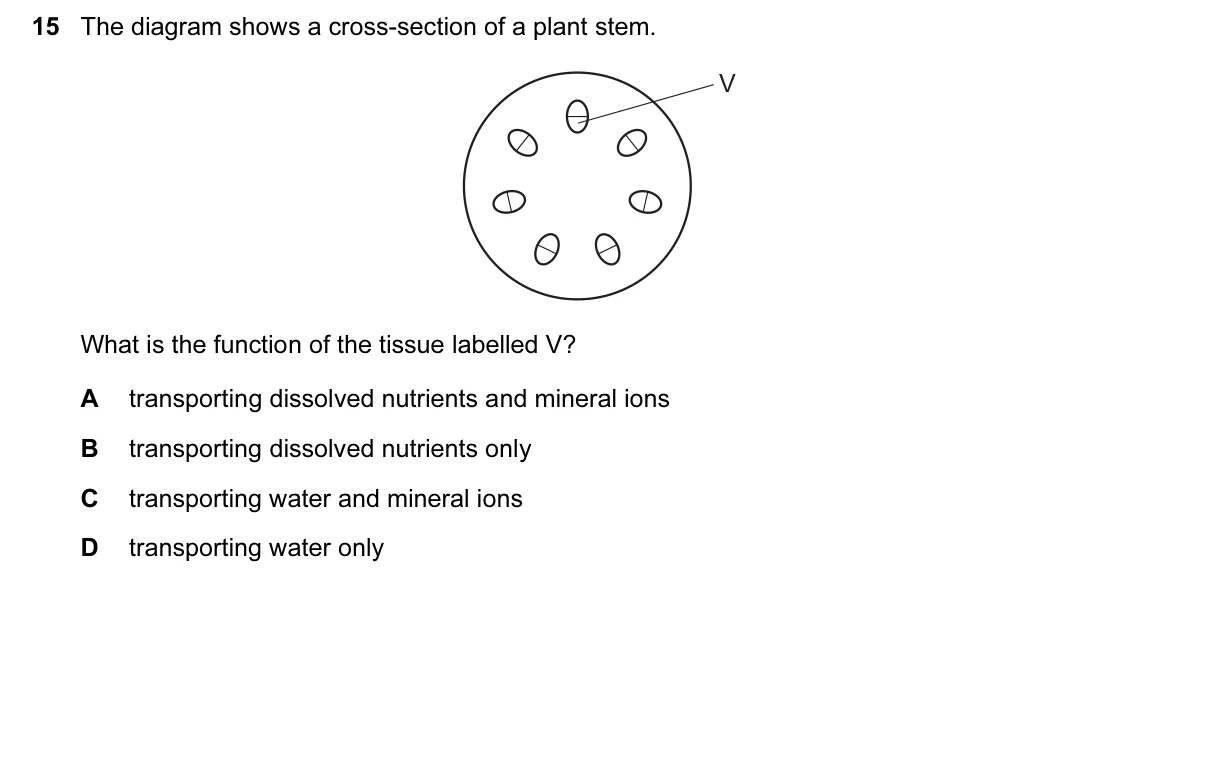 Question 15, June 2017, 0610 Paper 12