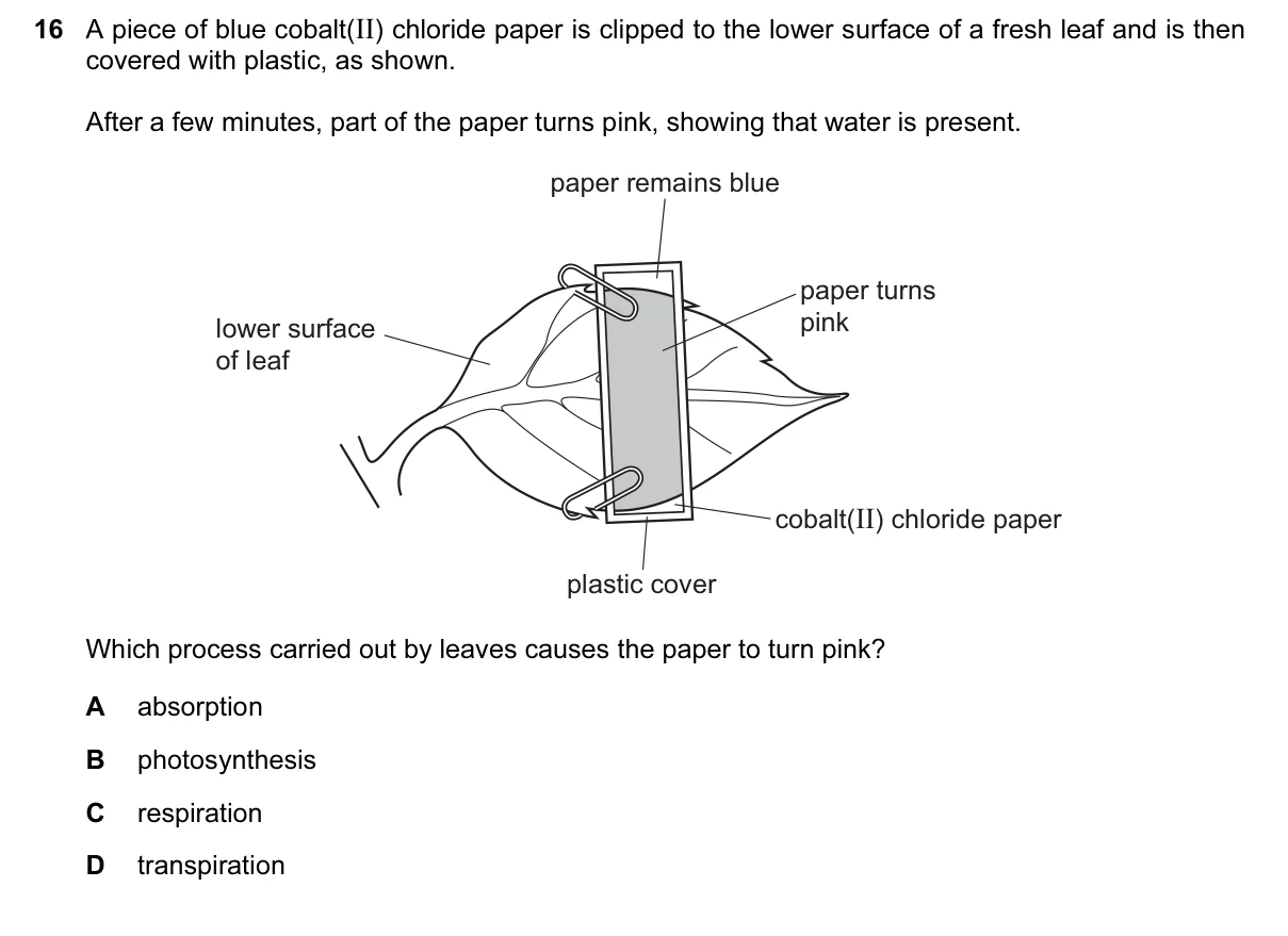 Question 16, June 2017, 0610 Paper 12