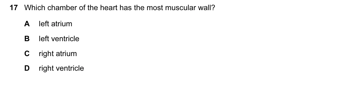 Question 17, June 2017, 0610 Paper 12