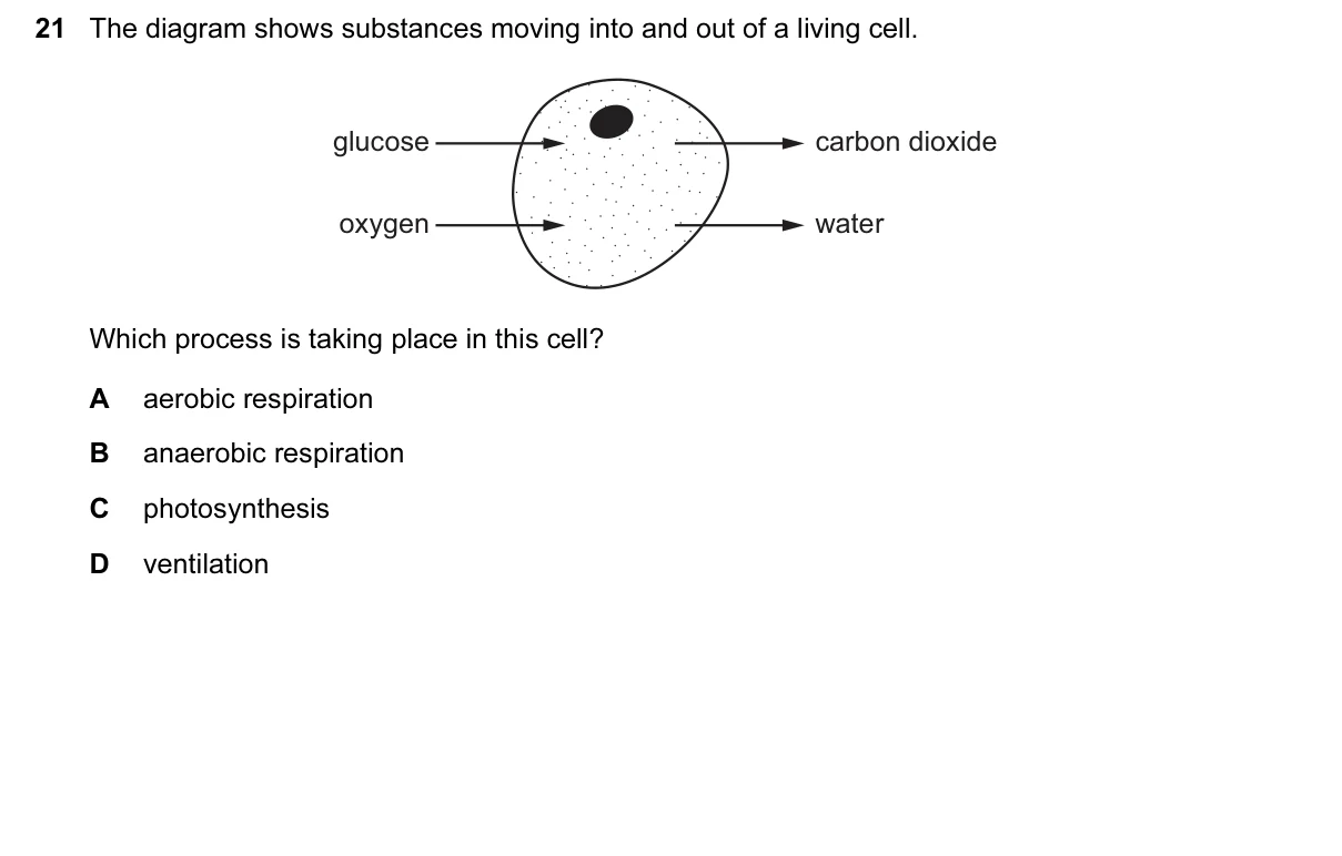 Question 21, June 2017, 0610 Paper 12