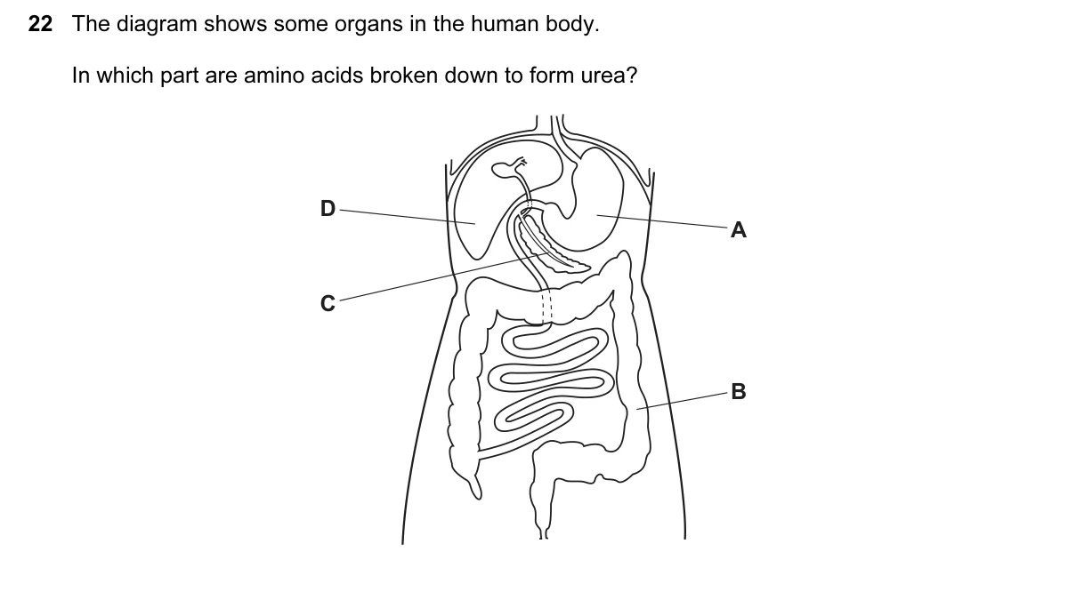 Question 22, June 2017, 0610 Paper 12