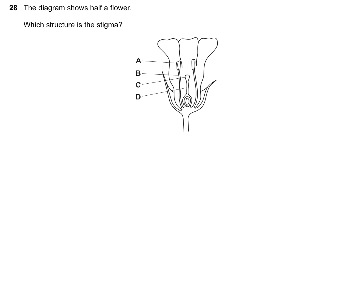 Question 28, June 2017, 0610 Paper 12