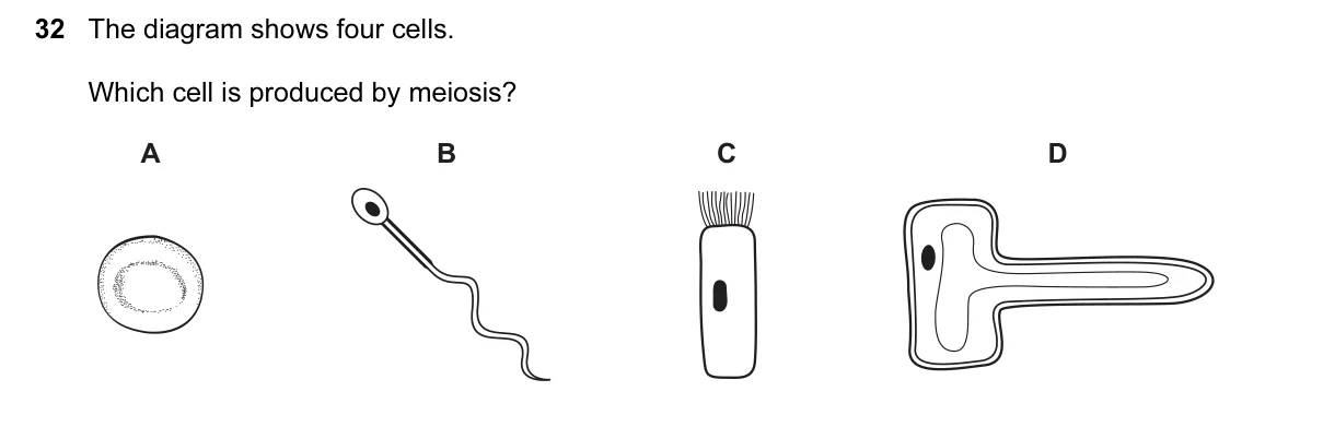 Question 32, June 2017, 0610 Paper 12