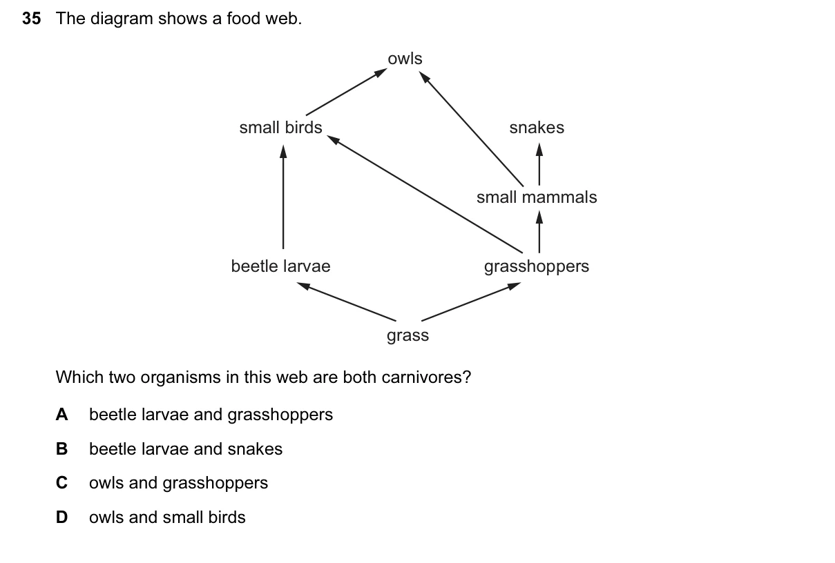 Question 35, June 2017, 0610 Paper 12