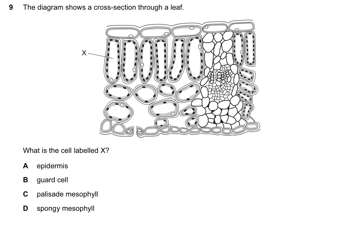 Question 9, June 2017, 0610 Paper 12