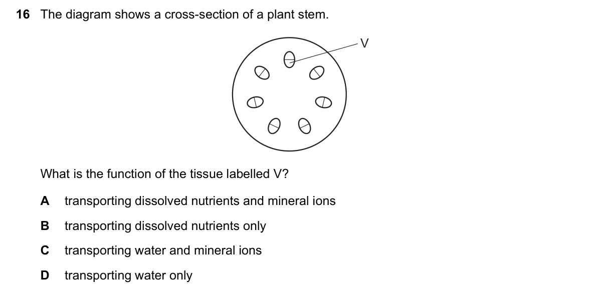 Question 16, June 2017, 0610 Paper 22