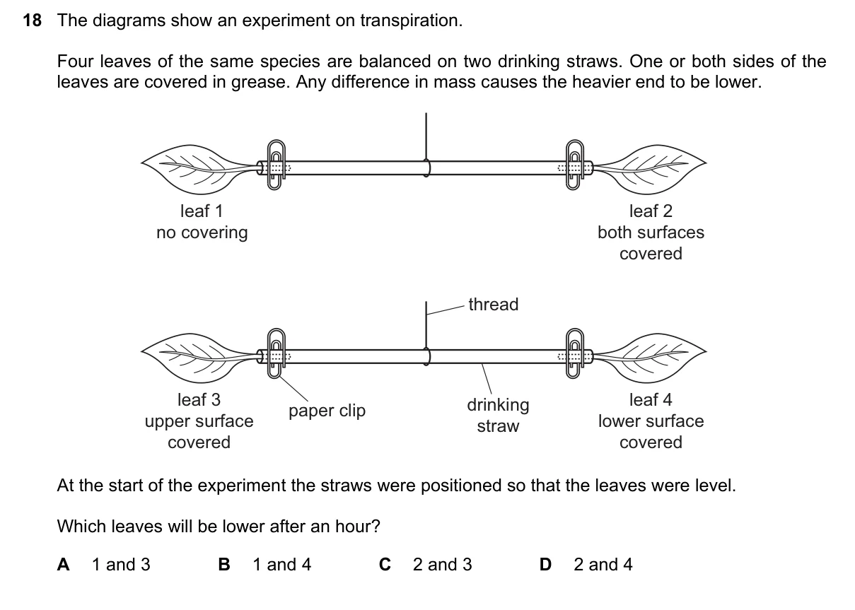 Question 18, June 2017, 0610 Paper 22