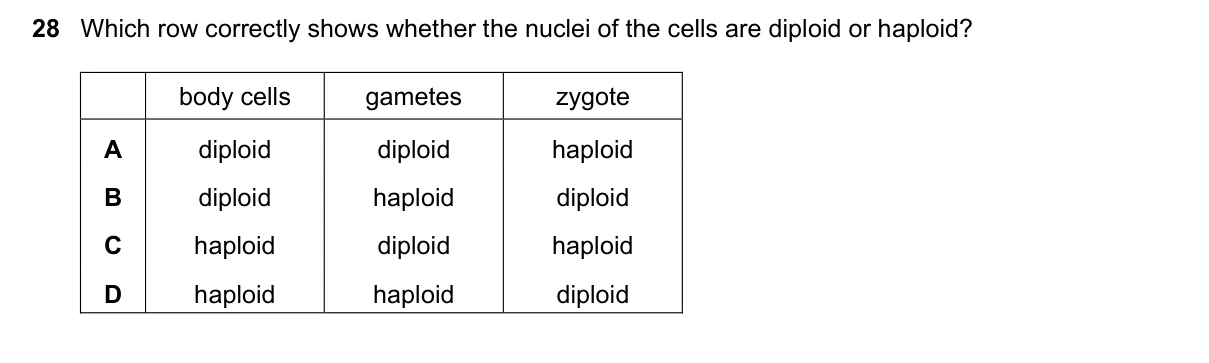 Question 28, June 2017, 0610 Paper 22