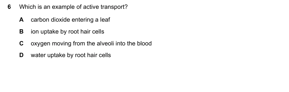 Question 6, June 2017, 0610 Paper 22