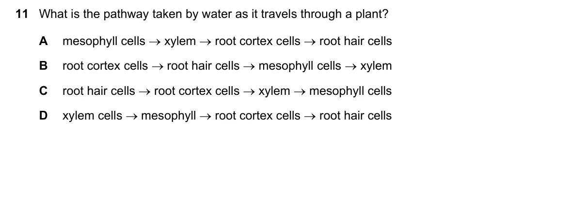Question 11, June 2017, 0610 Paper 13