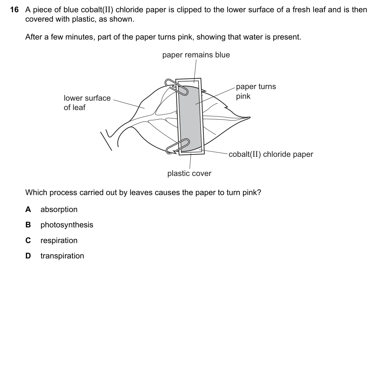 Question 16, June 2017, 0610 Paper 13